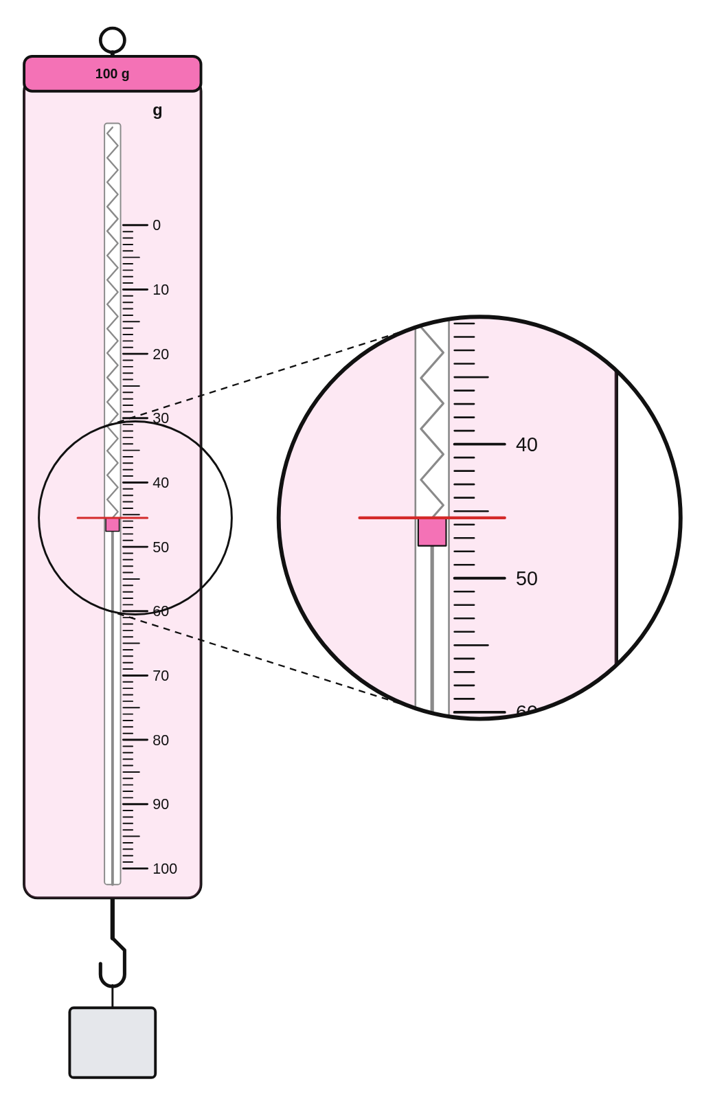 A pink 1 N spring scale printed in grams, from 0 to 100 g, with a block on its hook and the pointer at 45.5 g