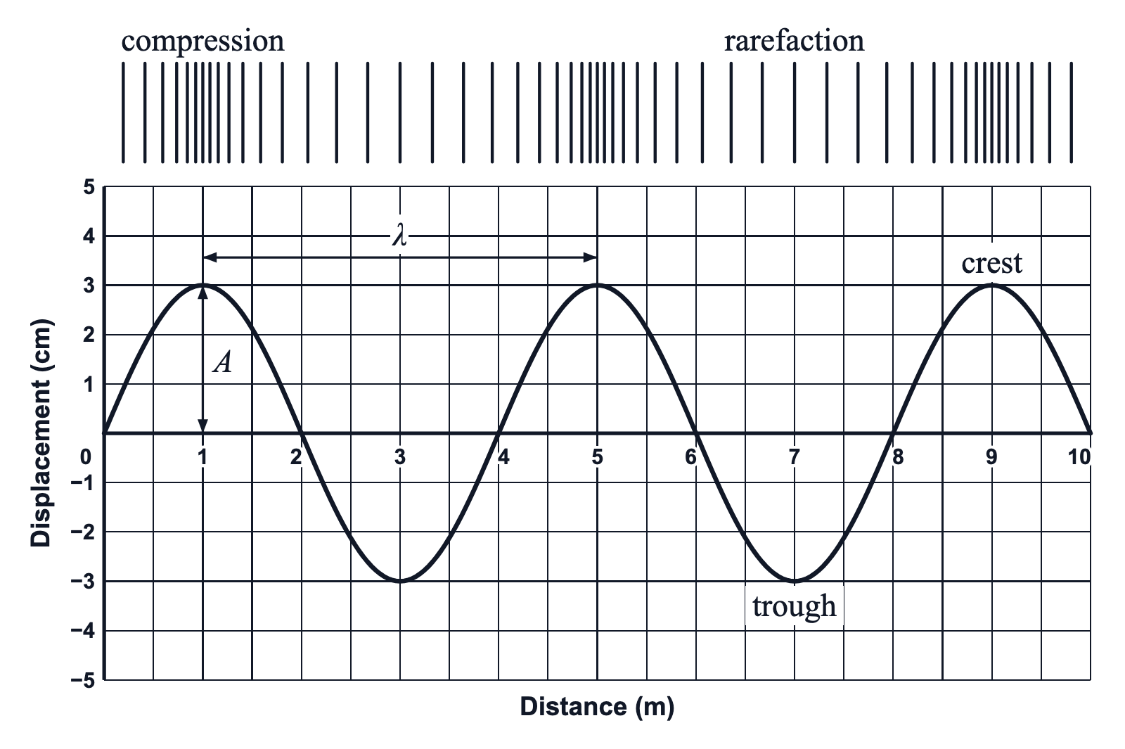 A longitudinal wave drawn as vertical lines, bunched at a compression and spread at a rarefaction, above a transverse wave on a displacement–distance grid, the compressions directly over the crests